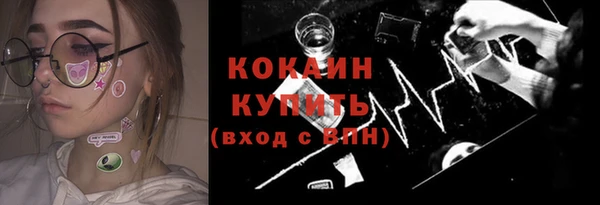 стаф Новокубанск