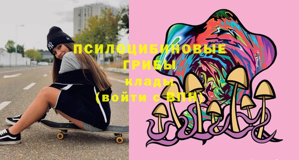 ешки Новодвинск