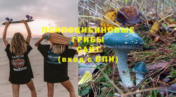 ешки Новодвинск