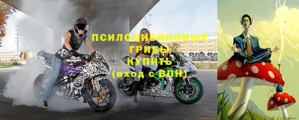 ешки Новодвинск