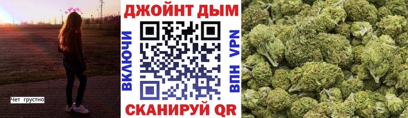 Купить где  Прокопьевск  Конопля план 